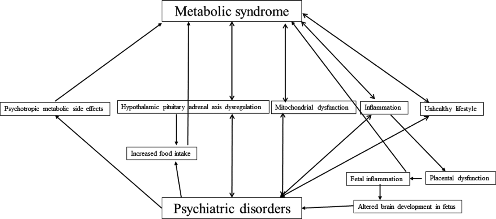 Common mechanisms and bidirectional relationship between metabolic syndrome and psychiatric disorders.